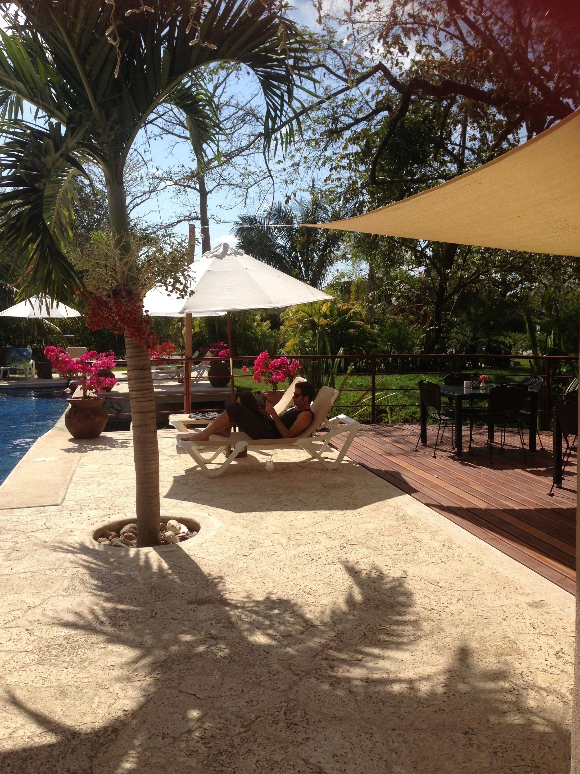 Alberca al aire libre, sombrillas en la alberca y camastros 