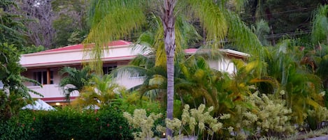 A house with a red roof, surrounded by lush greenery and palm trees.