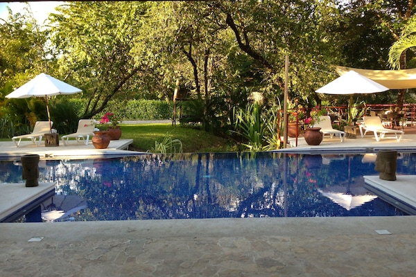 Una piscina al aire libre, sombrillas, tumbonas