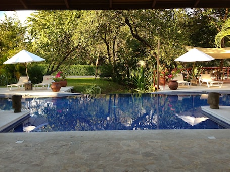 Outdoor pool, pool umbrellas, sun loungers