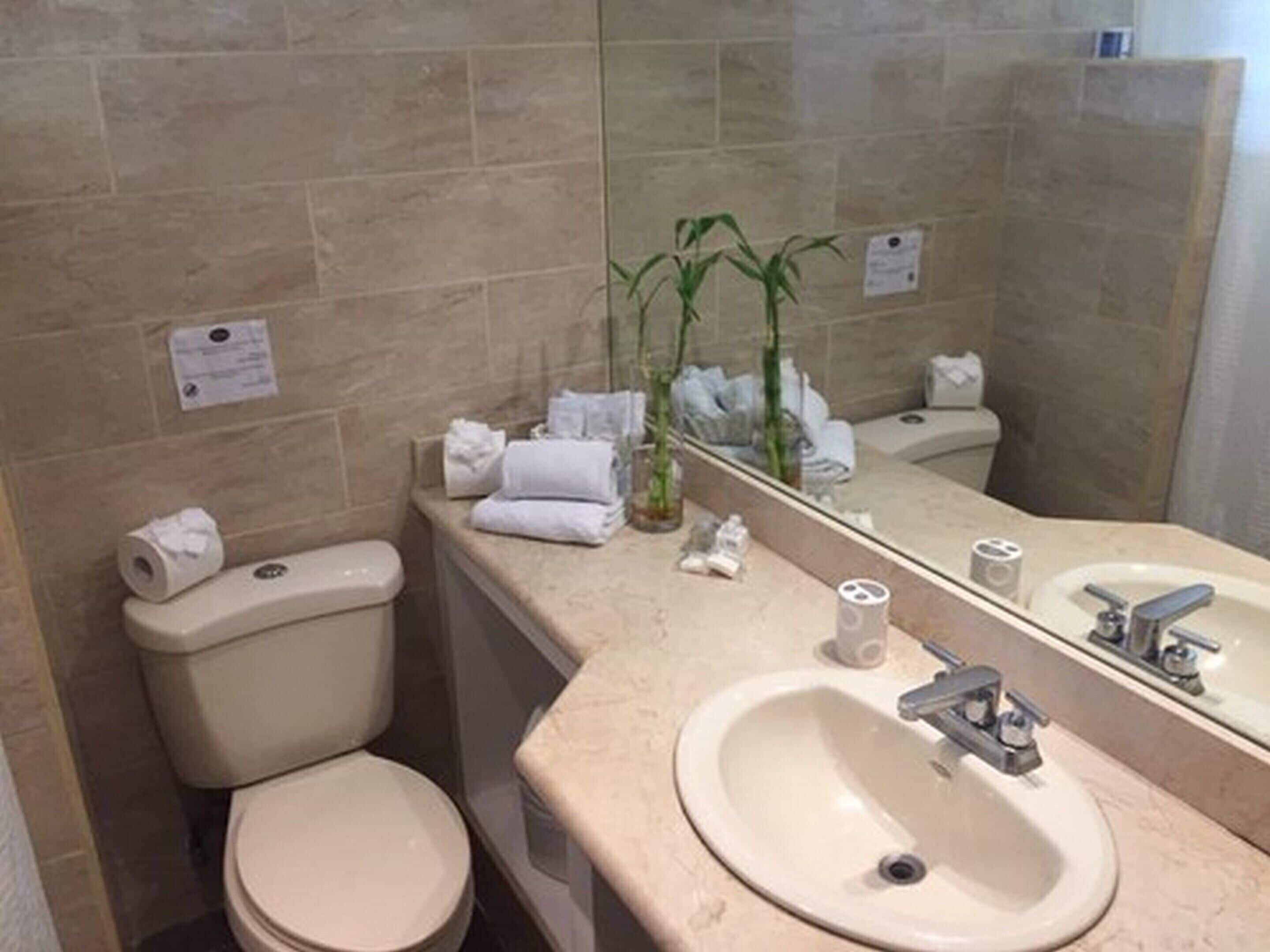 family suite | in-room safe, free wifi