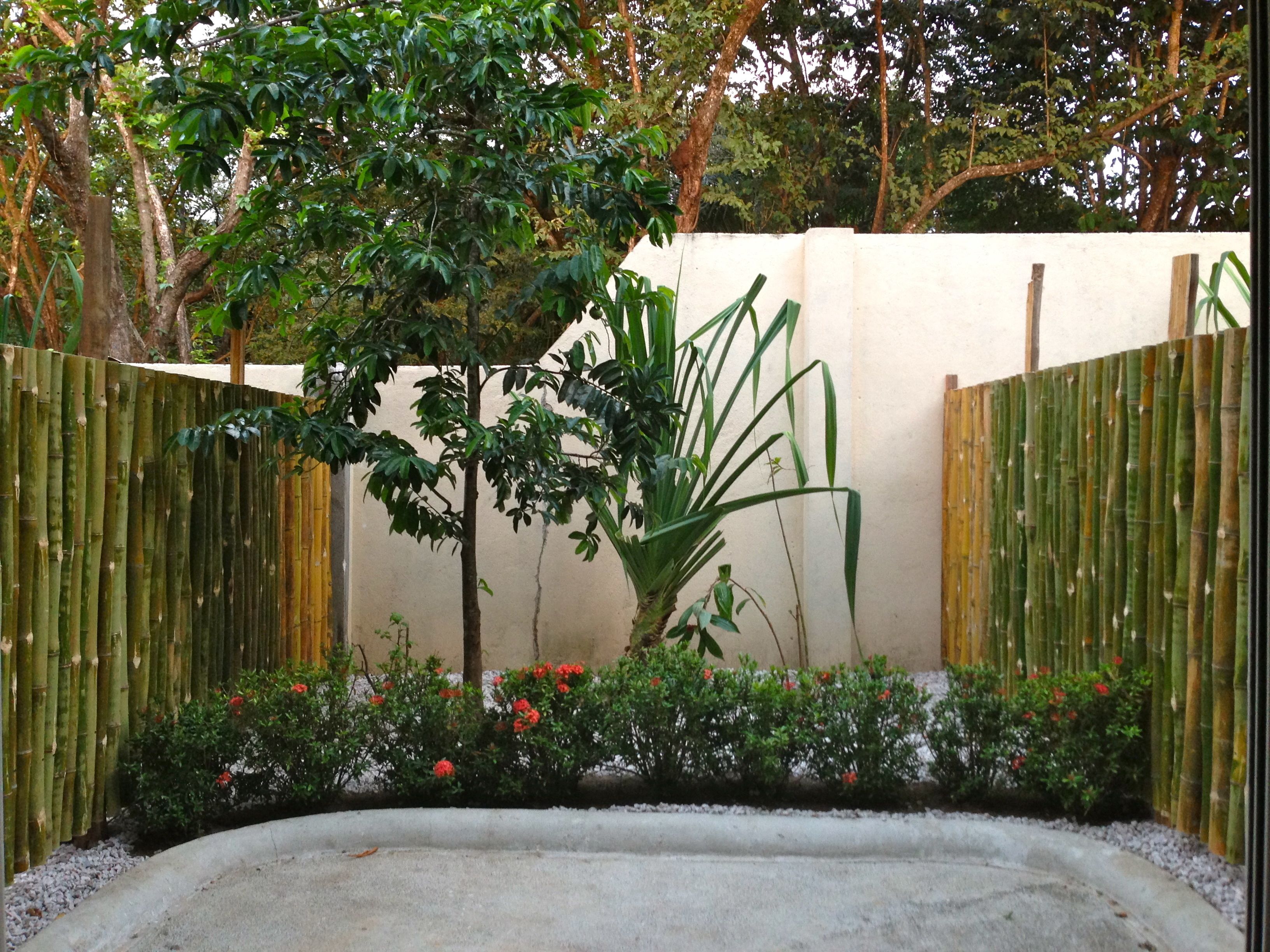A garden with a concrete planter, bamboo fencing, and various shrubs and plants.