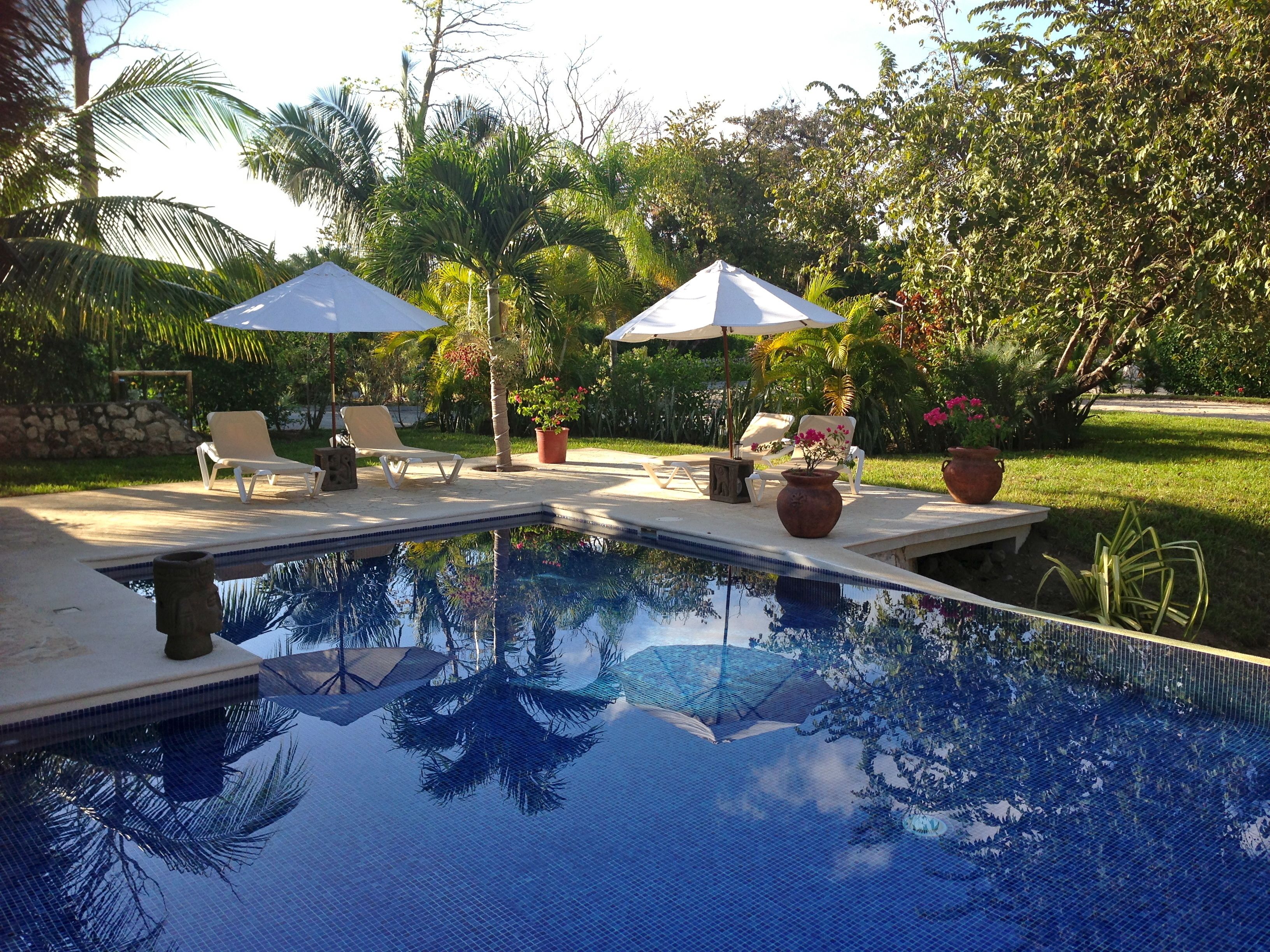 outdoor pool, pool umbrellas, pool loungers