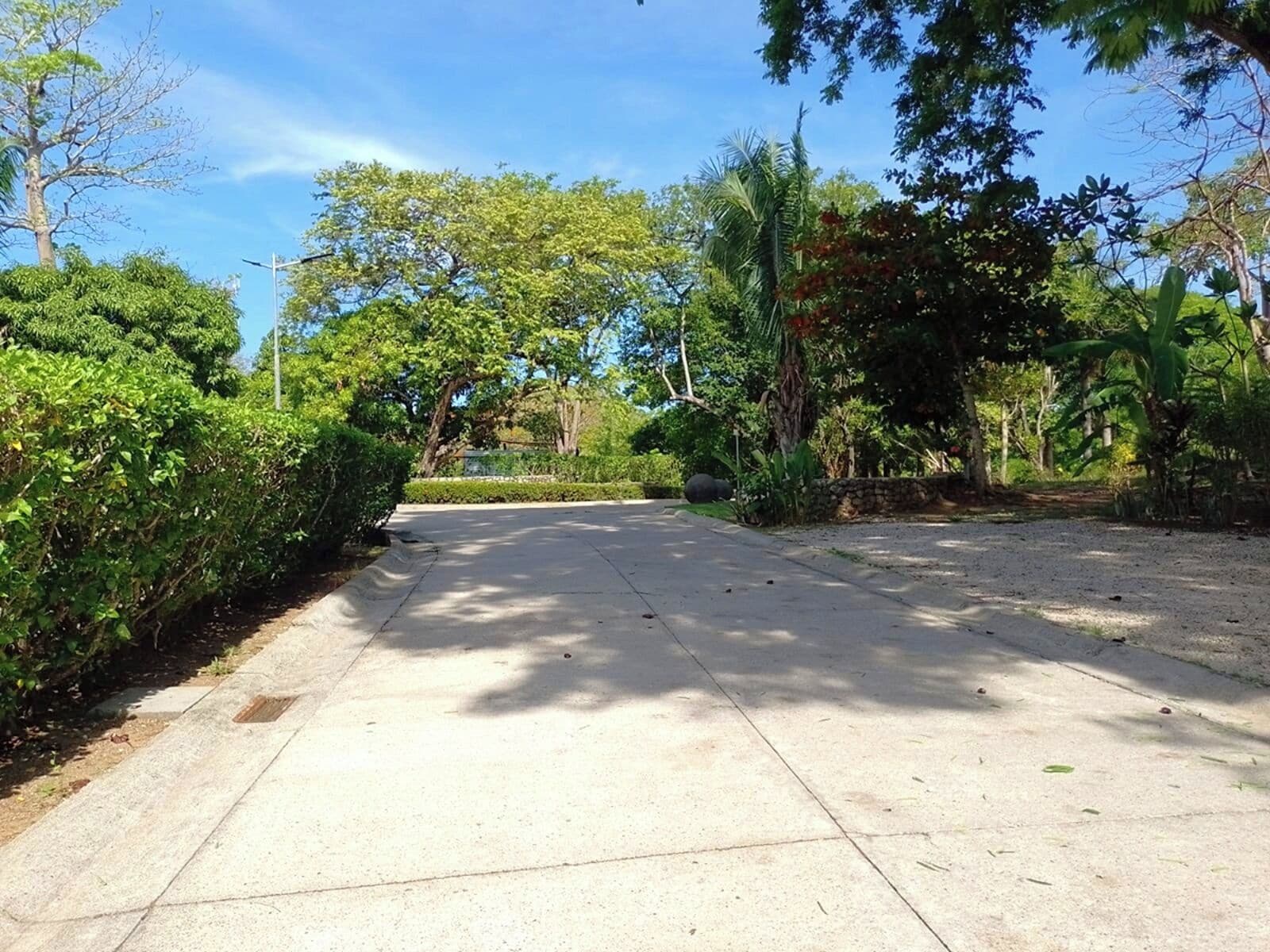 A paved pathway flanked by lush greenery and trees, leading to a building in the distance.