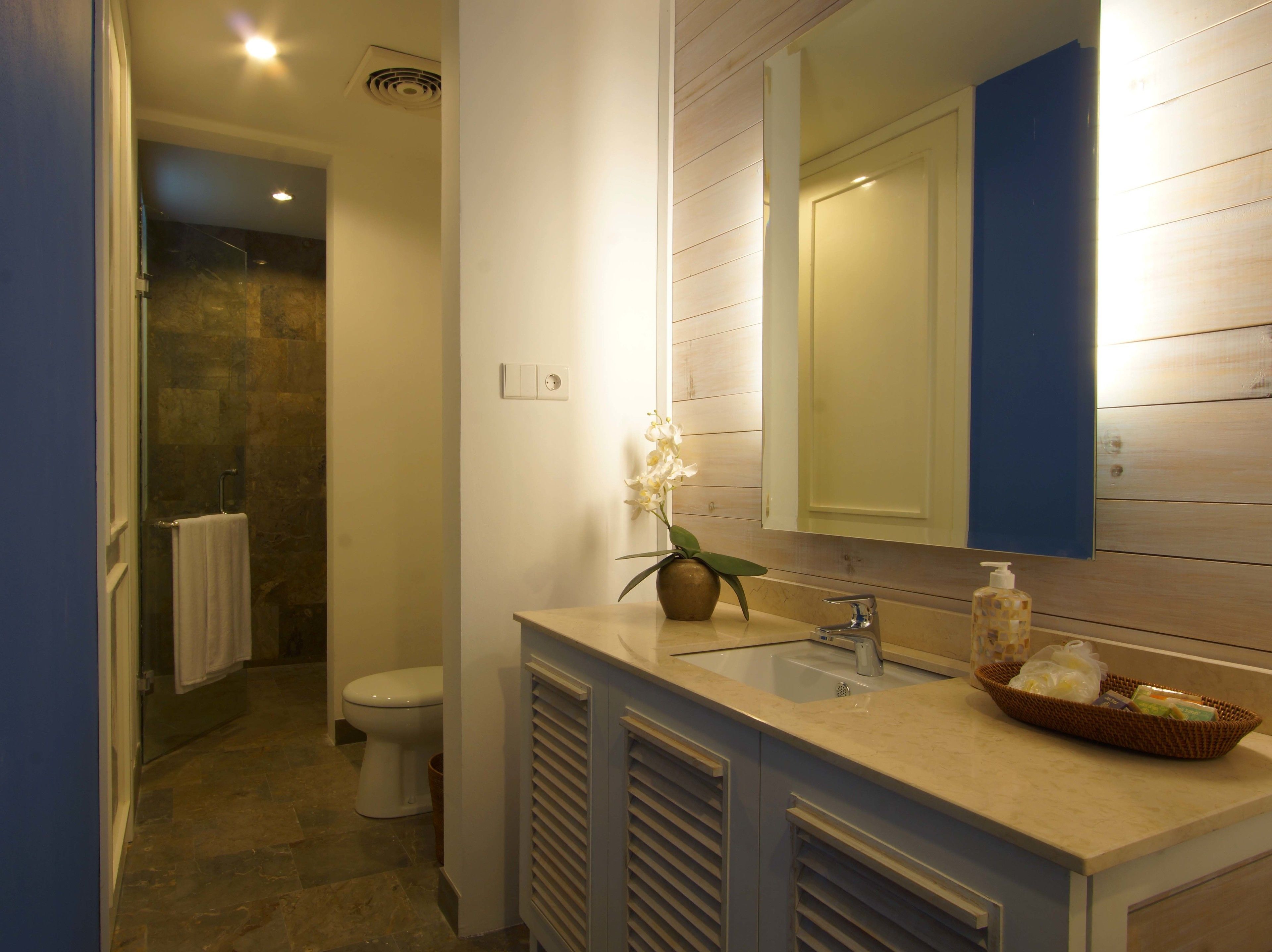 deluxe room | bathroom | shower, rainfall showerhead, free toiletries, hair dryer