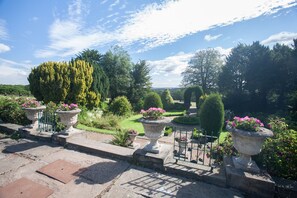 Deluxe Suite | Terrace/patio