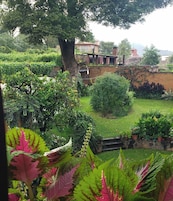 Un exuberante jardín con diversas plantas y árboles, un muro de ladrillo y un edificio al fondo.