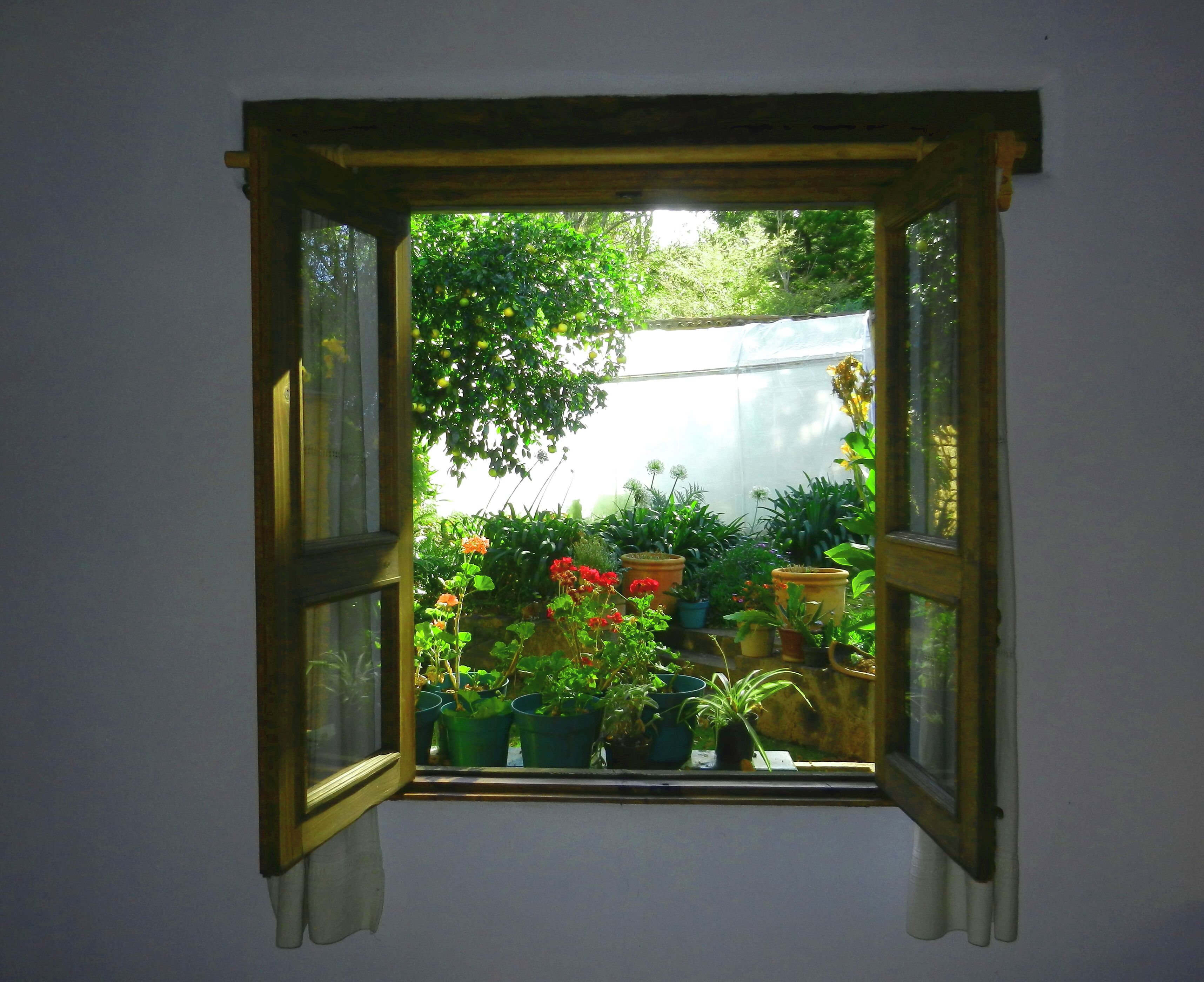 Traditionele kamer | Uitzicht op de tuin