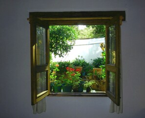 传统客房 | 花园景观