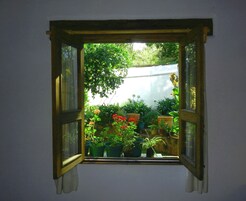 Una ventana con marco de madera abierto, que muestra un jardín con plantas y flores en macetas.