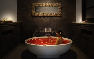 Separate bathtub and shower, deep-soaking bathtub, rainfall showerhead