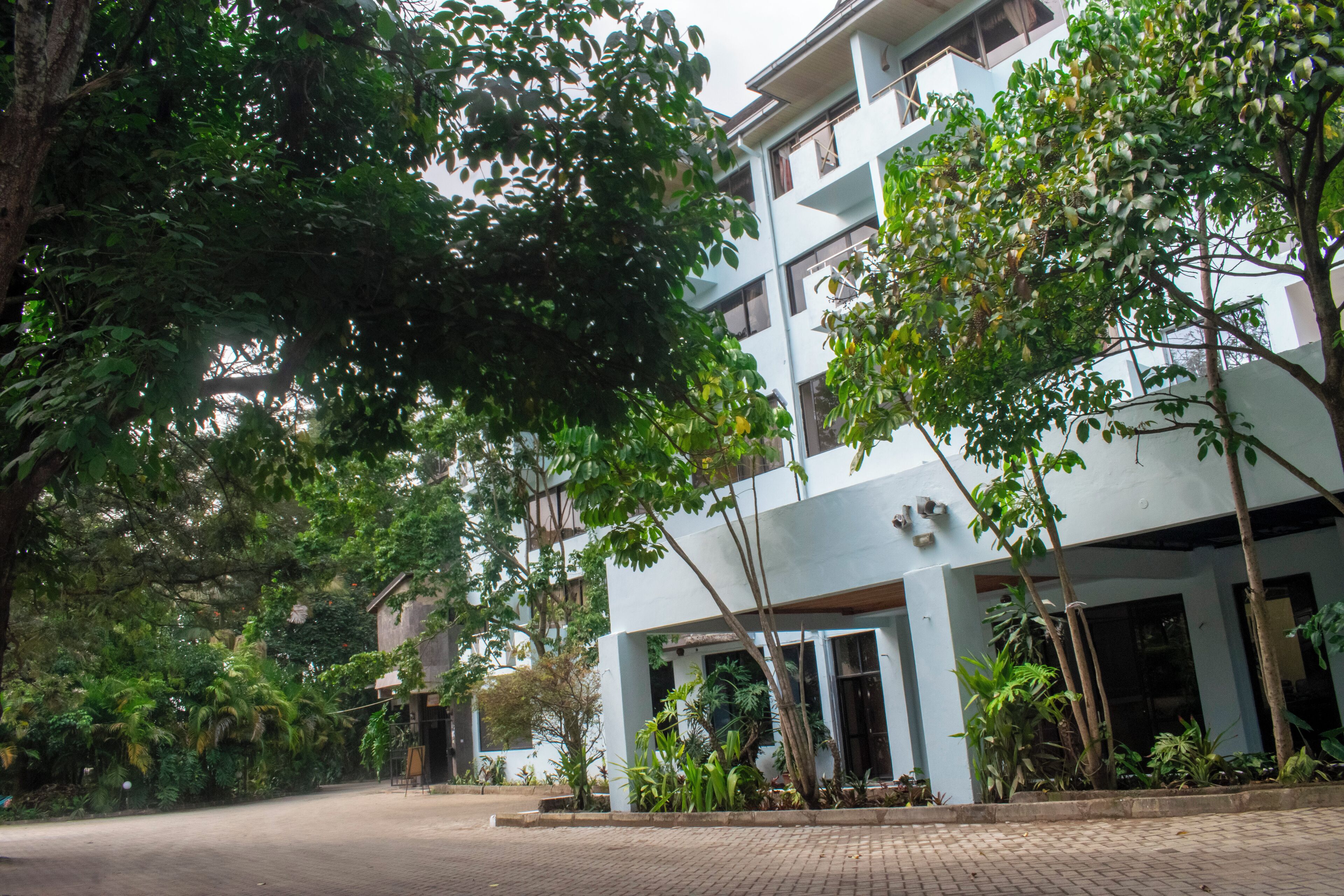 Foto - Park Place Hotel