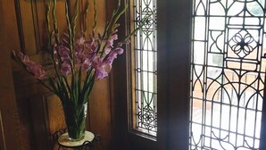 Unclassified image, 2 of 79, button - WC Lipe Mansion (Syracuse)
