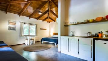 Chambre Deluxe | Coin cuisine privé | Réfrigérateur, cafetiÚre/bouilloire, bouilloire électrique