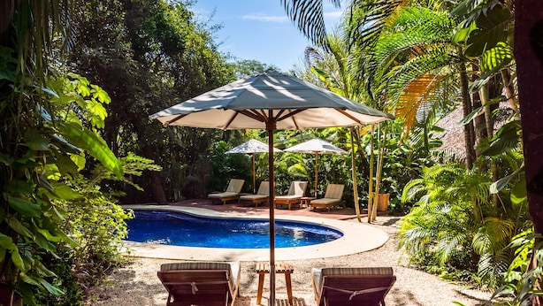 Un área de piscina con sillones de descanso y sombrillas, rodeada de exuberante vegetación.