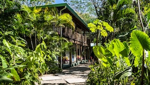 Un resort tropical con un área exterior cubierta, rodeado de exuberante vegetación y palmeras.