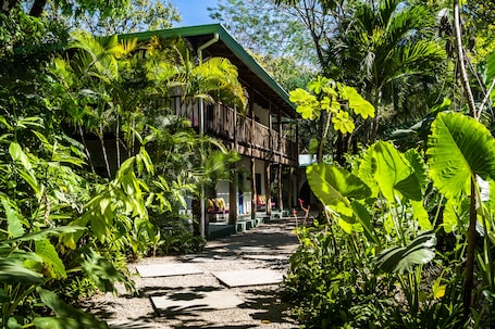 Vista desde la habitación