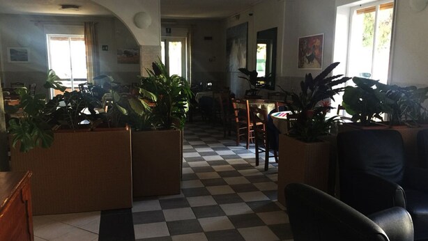 Un piso a cuadros, varias plantas en macetas y un comedor con sillas y mesas.