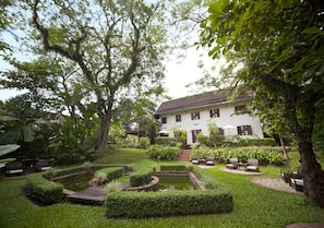 Trädgård