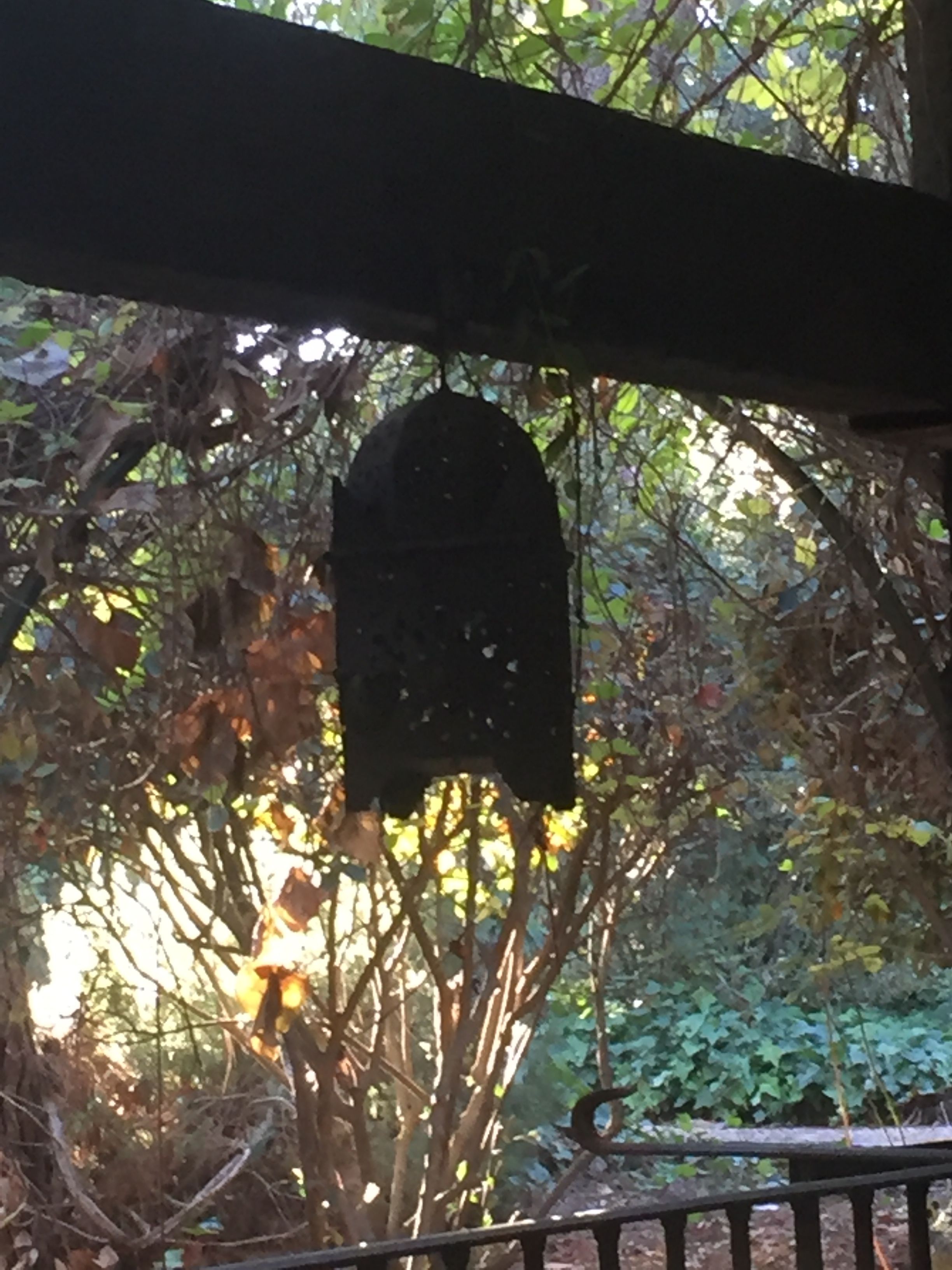 sauna, hot tub, steam room