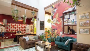 Een gezellige woonkamer met een bank, een bijzettafeltje en hangplanten.