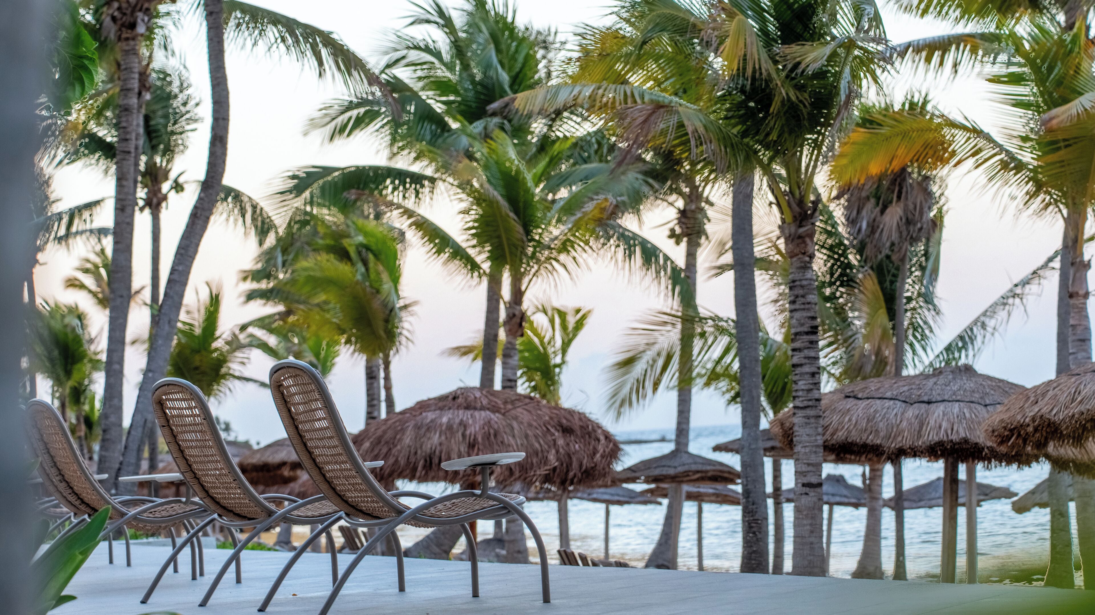 Een strandlounge met rieten stoelen en rieten parasols, palmbomen en uitzicht op de oceaan.