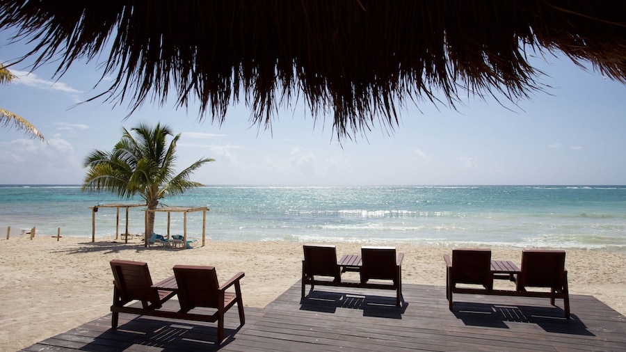 Akumal Bay Beach & Wellness Resort - All Inclusive