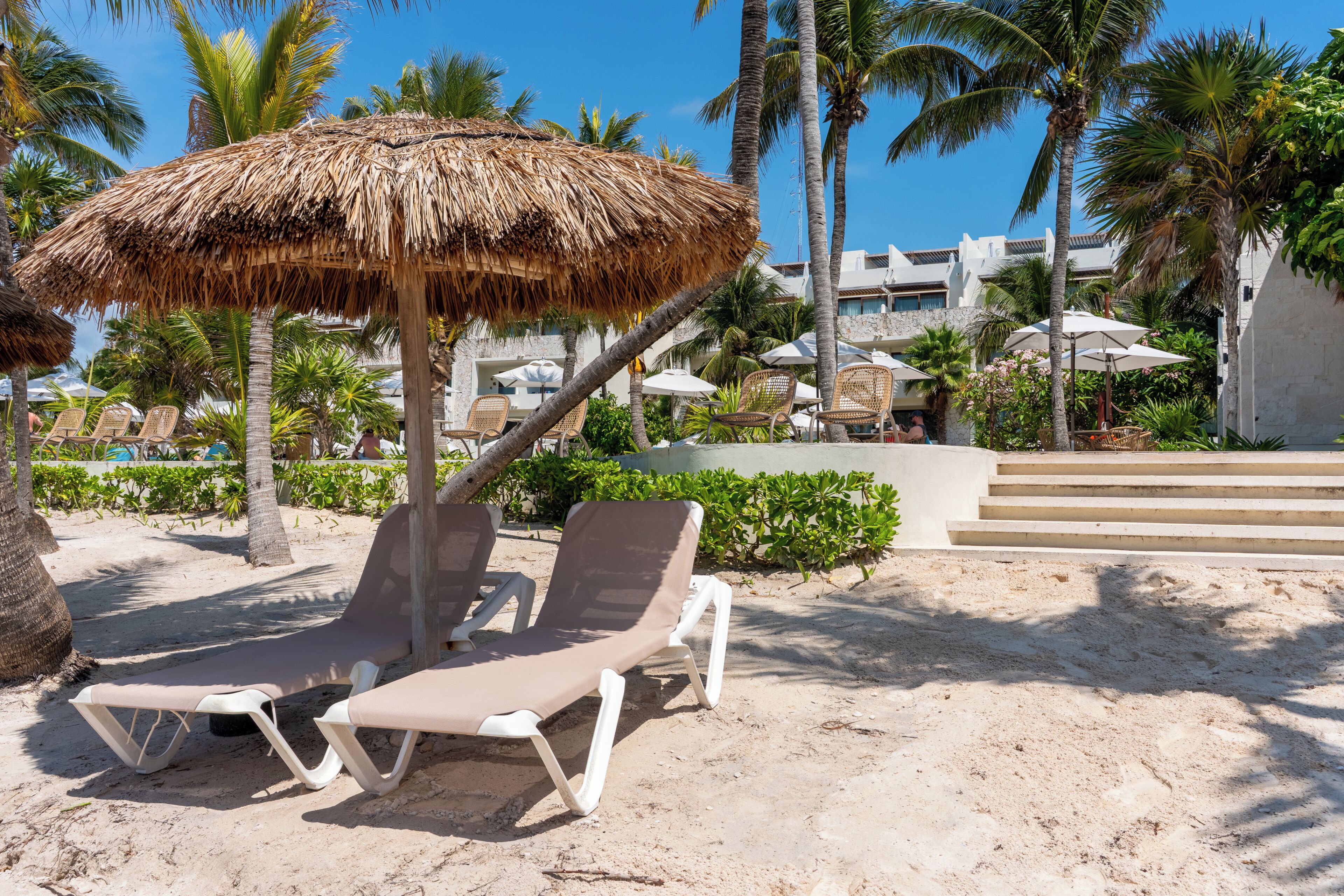 Un resort frente a la playa con sillas de descanso, una sombrilla de paja, palmeras y un edificio con escalones.