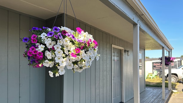 A hanging flower basket with a variety of flowers on a porch. - The Coastal Inn and Suites (Long Beach)