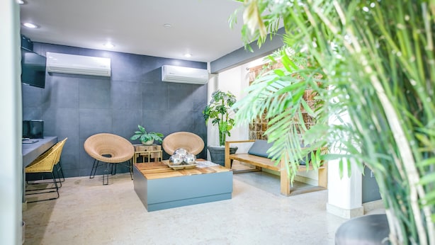 Un intérieur moderne avec un canapé bleu, des fauteuils en osier, une table basse et une plante en pot.