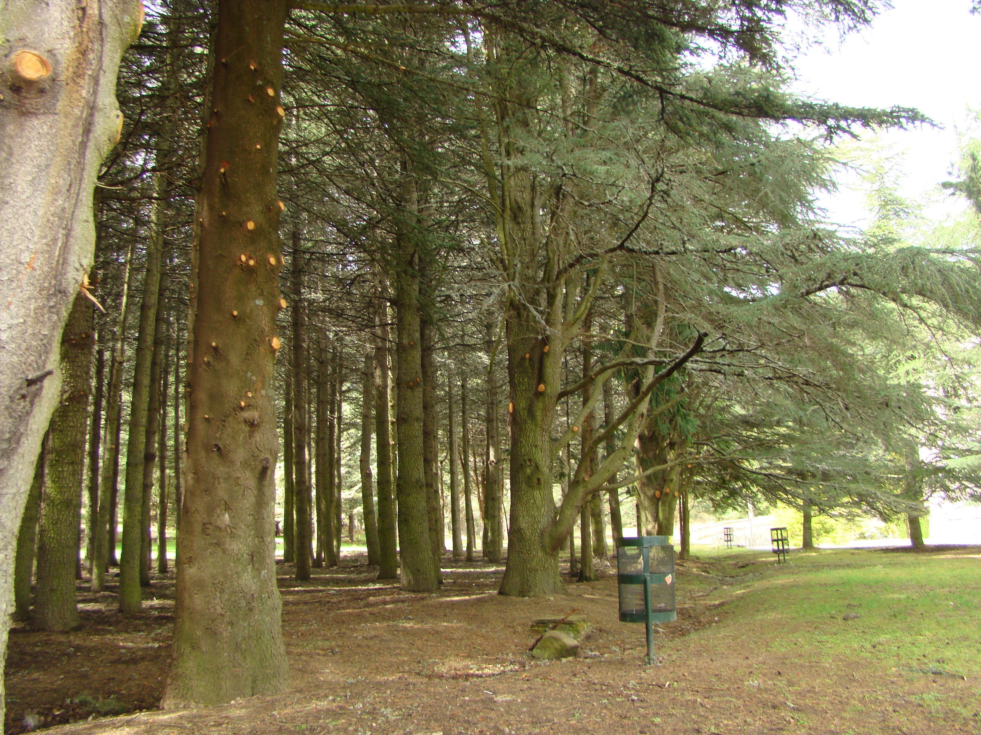 Photo - Hospedería Santa Cruz