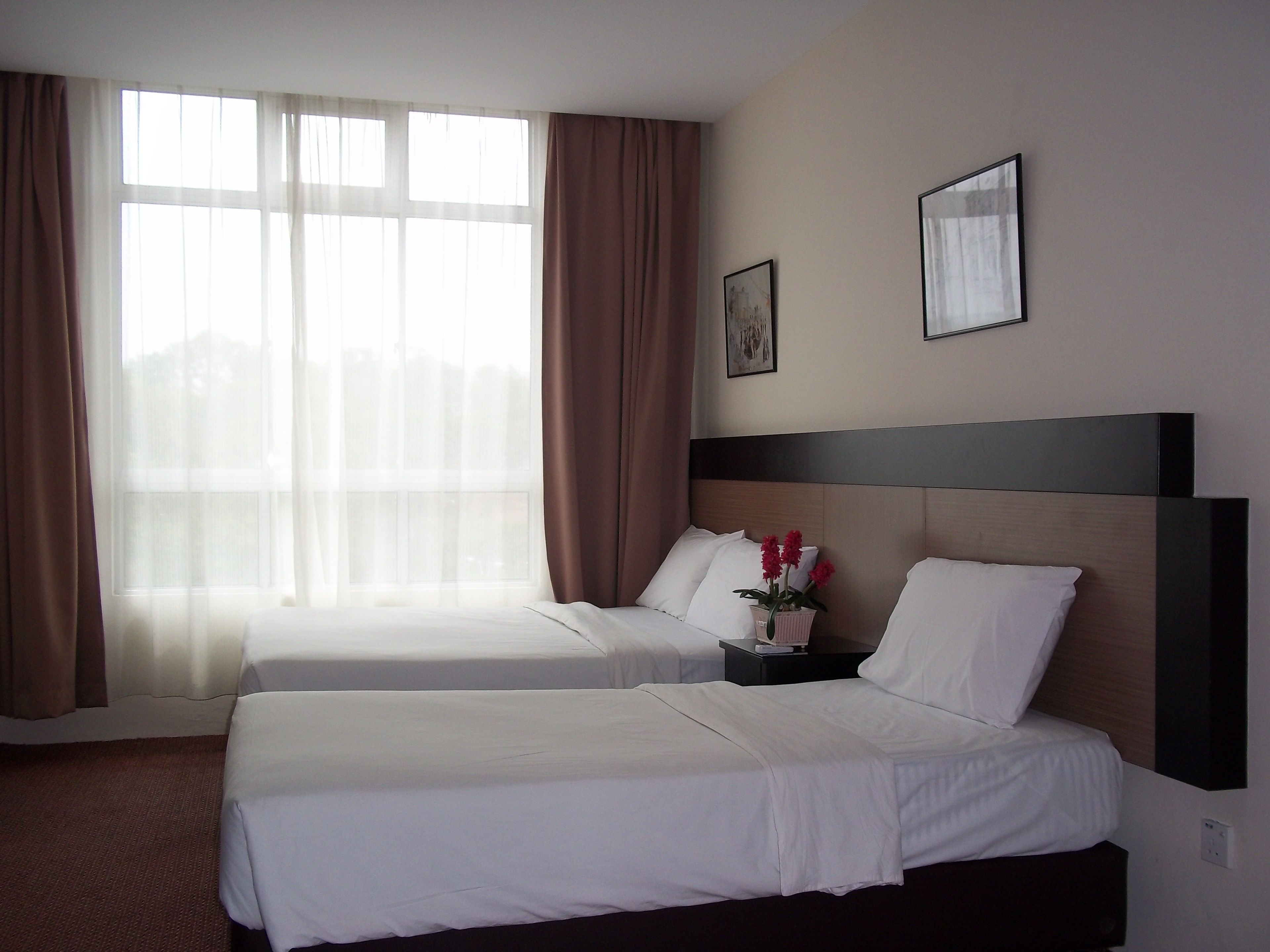 A hotel room with two beds, a large window with sheer curtains, and a nightstand with a vase of flowers.