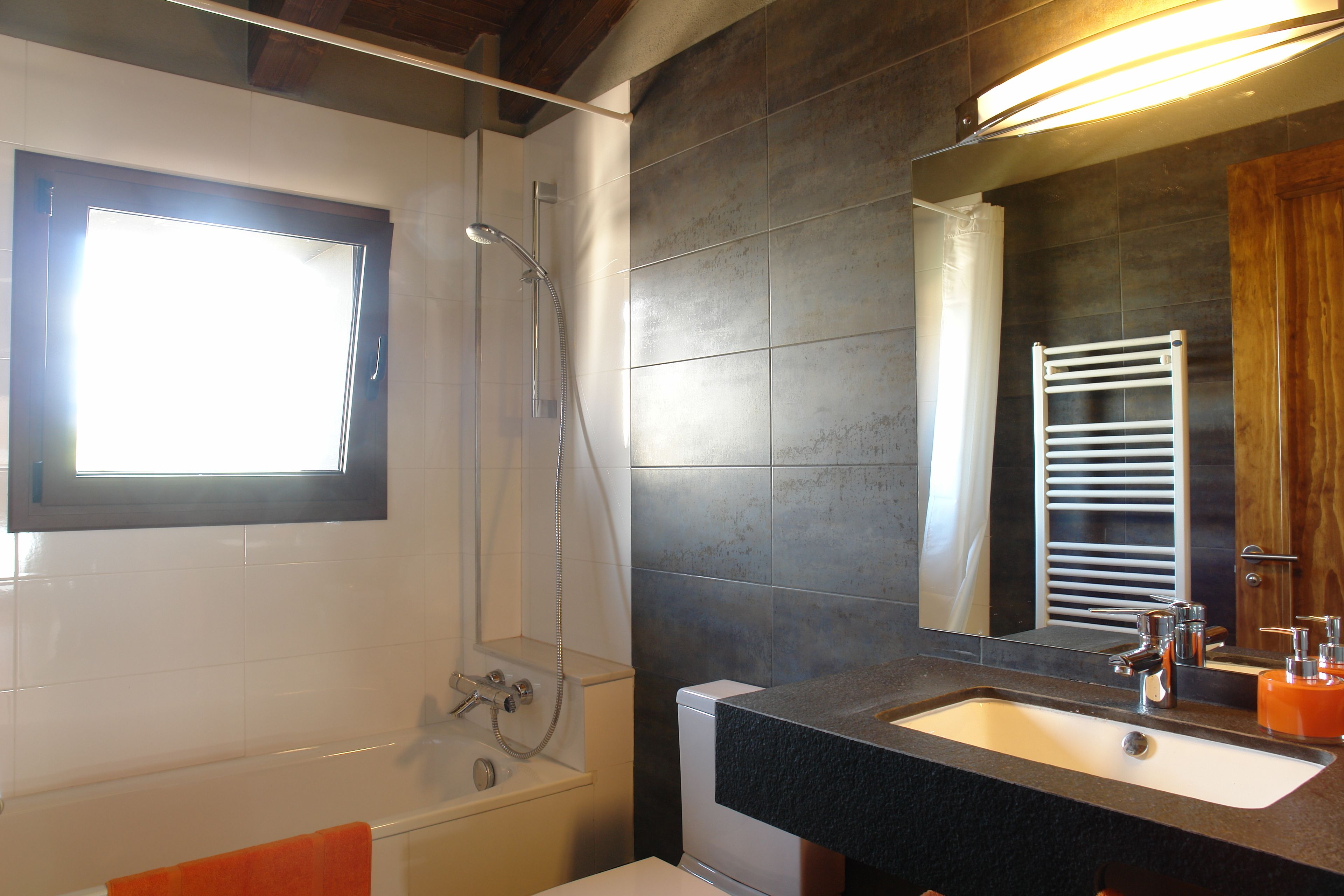 Combined shower/bathtub, jetted bath, hair dryer, bidet
