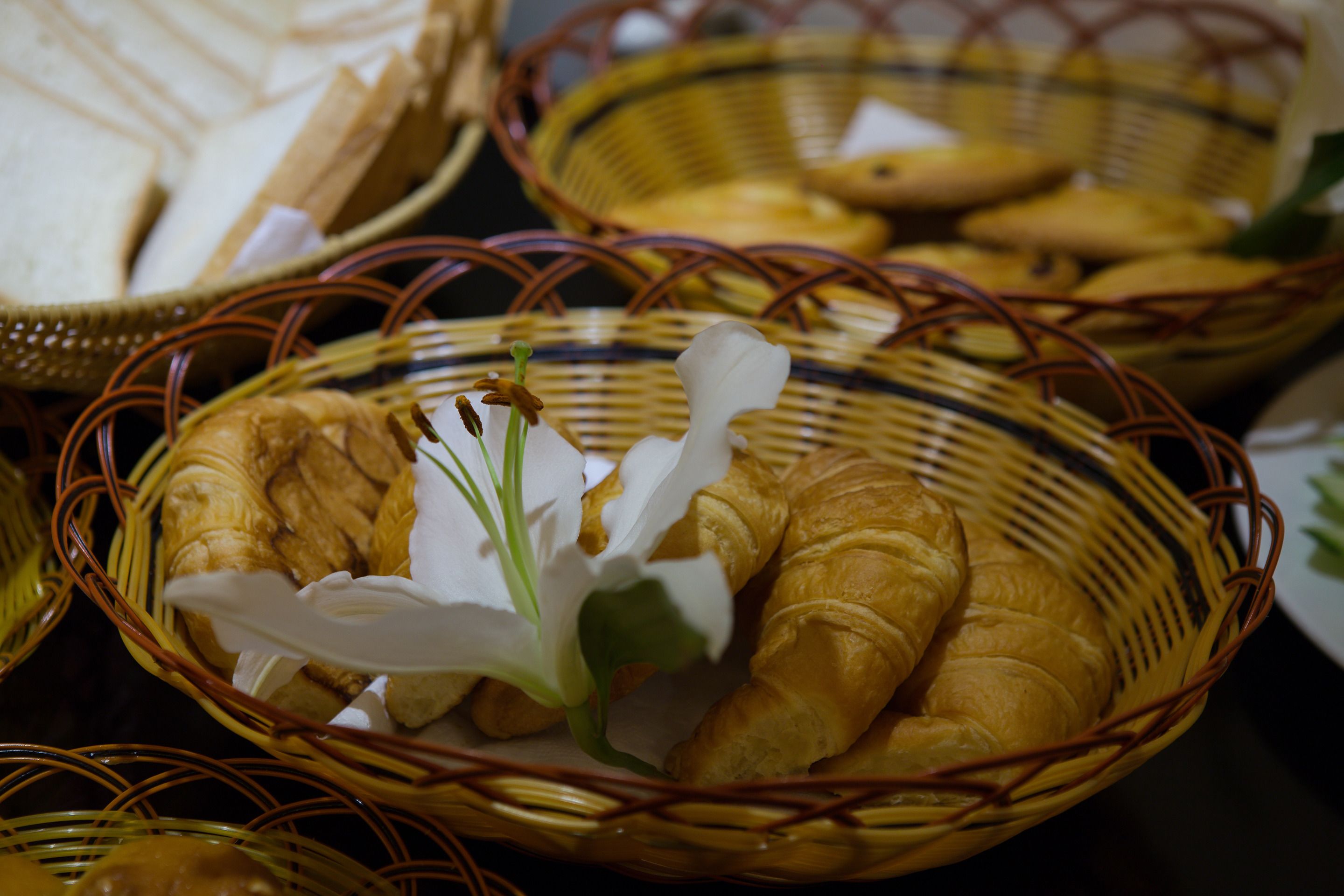 Foto - Parklane Central Hanoi Hotel