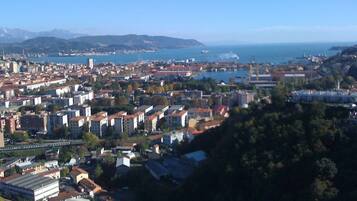A coastal cityscape with dense urban buildings, a harbor, and a mountainous backdrop.