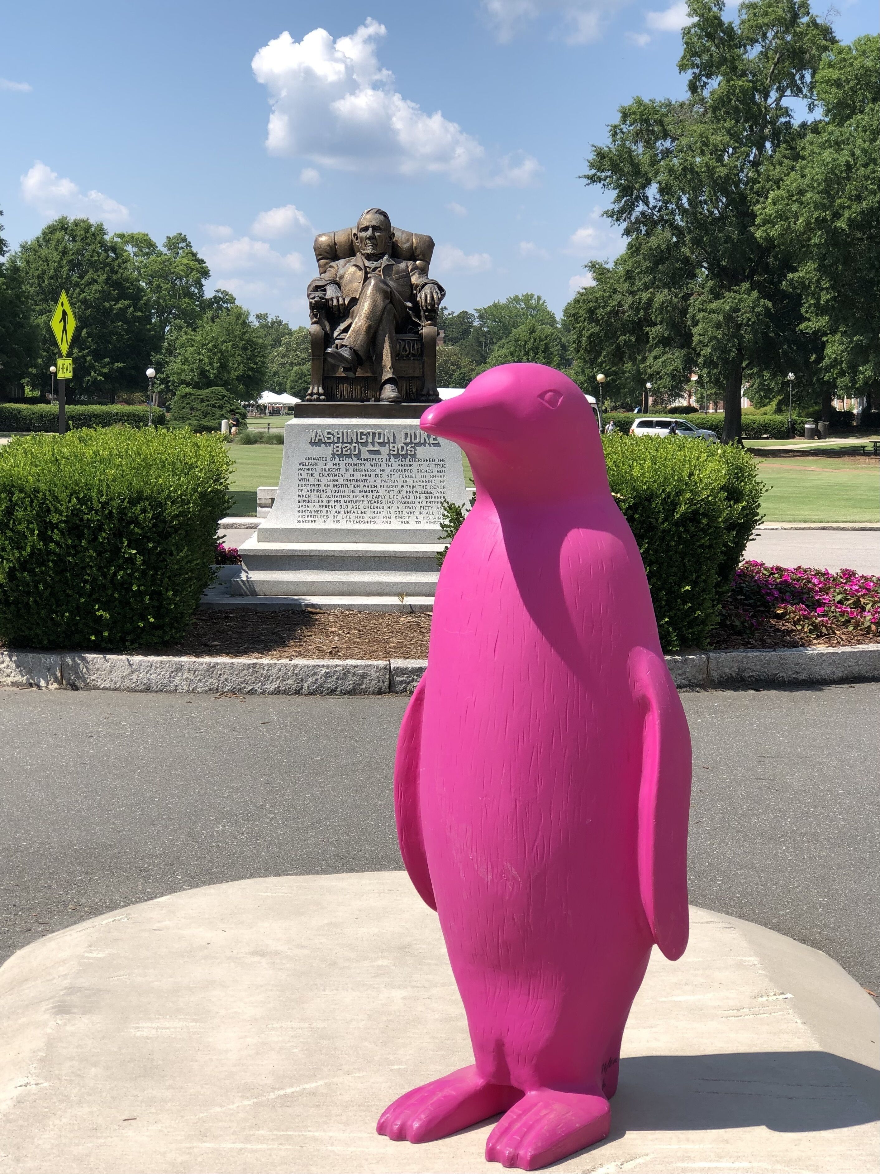 land view from property