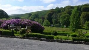 A rural landscape with a stone wall, a row of chairs, and purple flowering bushes. - Simonsbath House (Minehead)