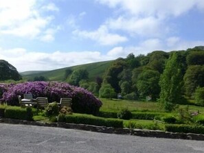 Vista desde la propiedad