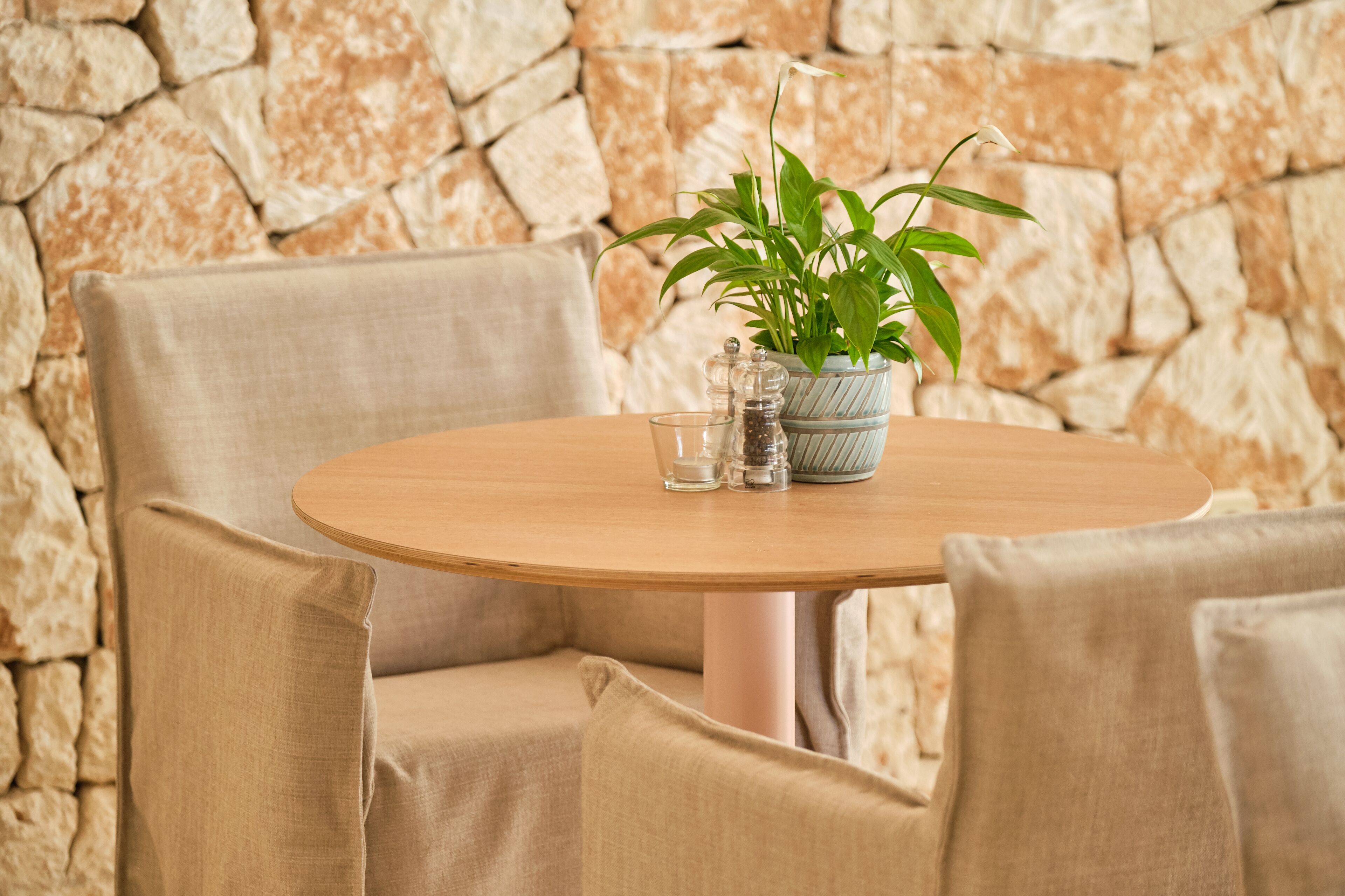 A round wooden table with a potted plant and salt and pepper shakers.