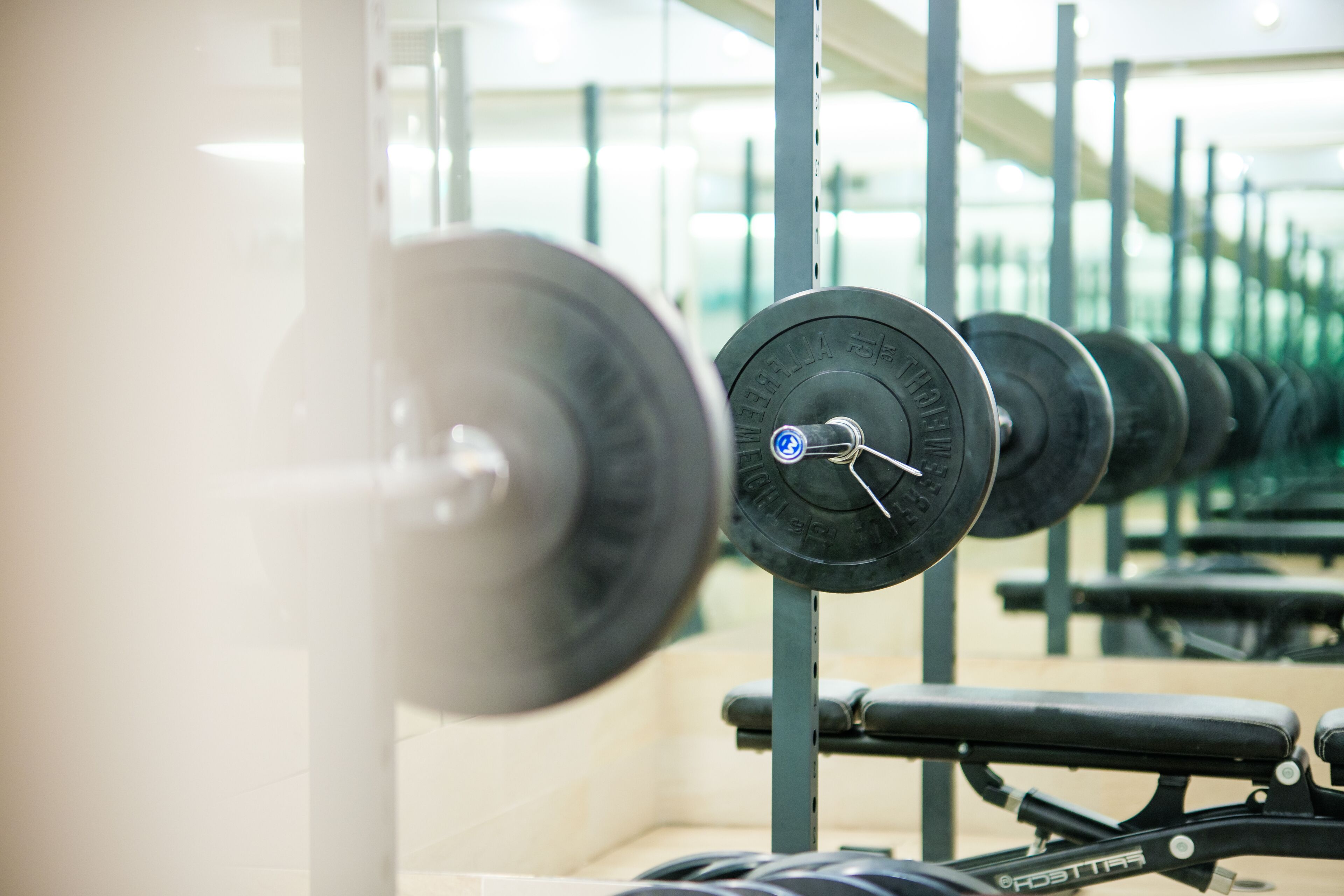 Une rangée de disques de poids sur un support dans une salle de sport.