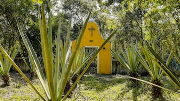 Áreas de la propiedad