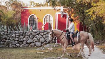 Una persona montando a caballo por un sendero con un muro de piedra y un edificio con ventanas arqueadas al fondo.