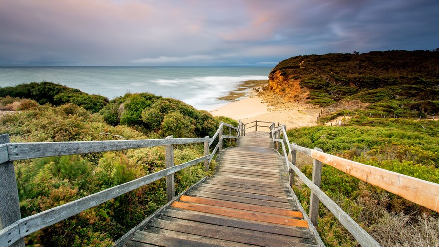 Ingenia Holidays Torquay