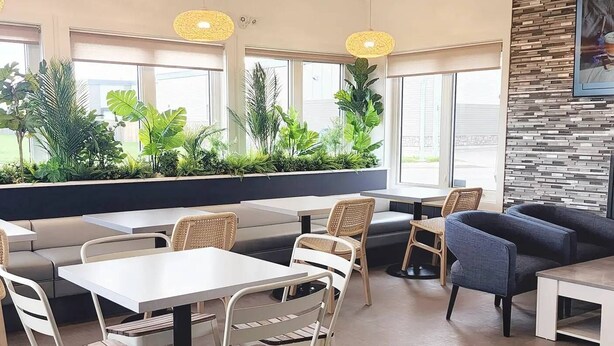 Un espacio interior moderno con mesas y sillas, ventanas amplias y diversas plantas.