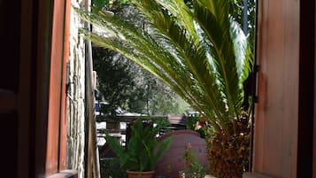 Double or Twin Room | View from room