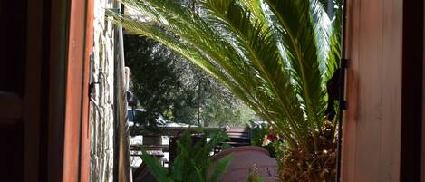 Double or Twin Room | View from room