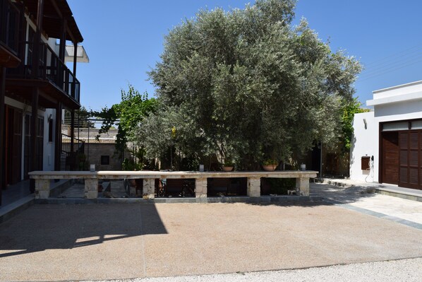 A courtyard with a large tree, stone benches, and a building with a balcony.