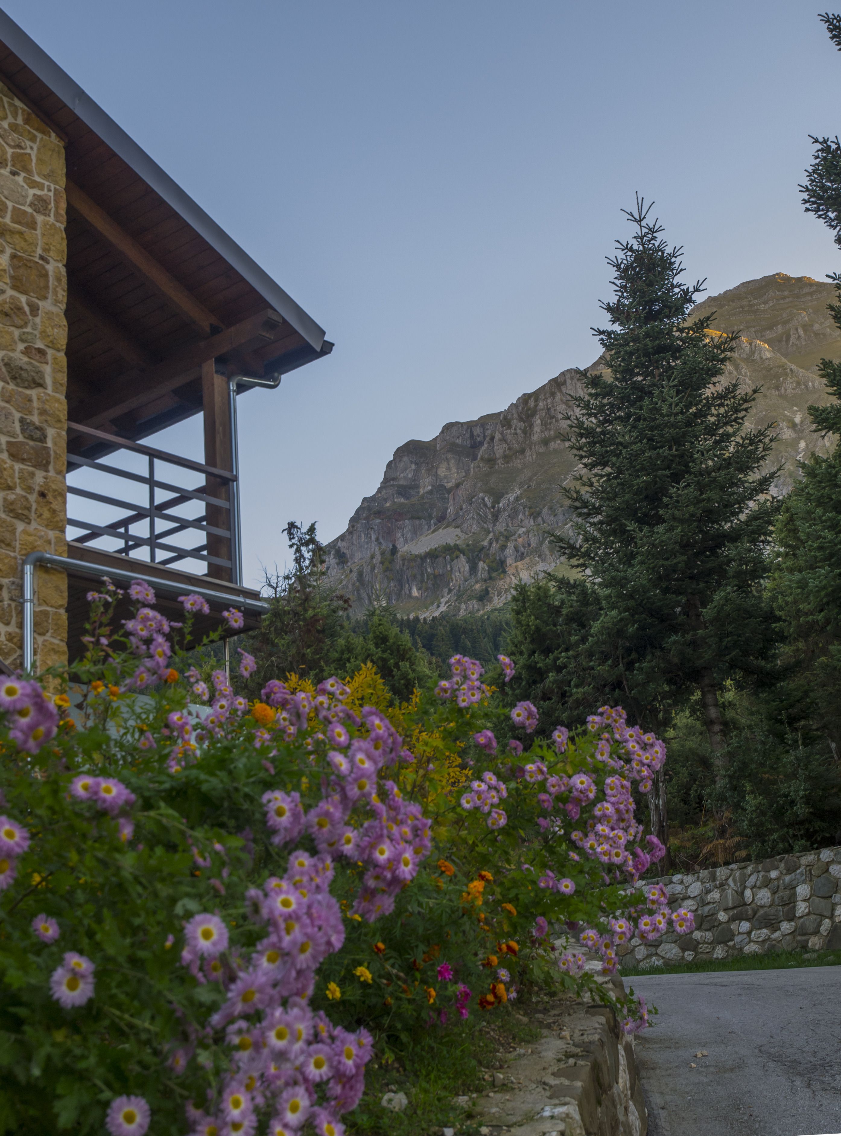 1 bedroom, egyptian cotton sheets, premium bedding, down duvets