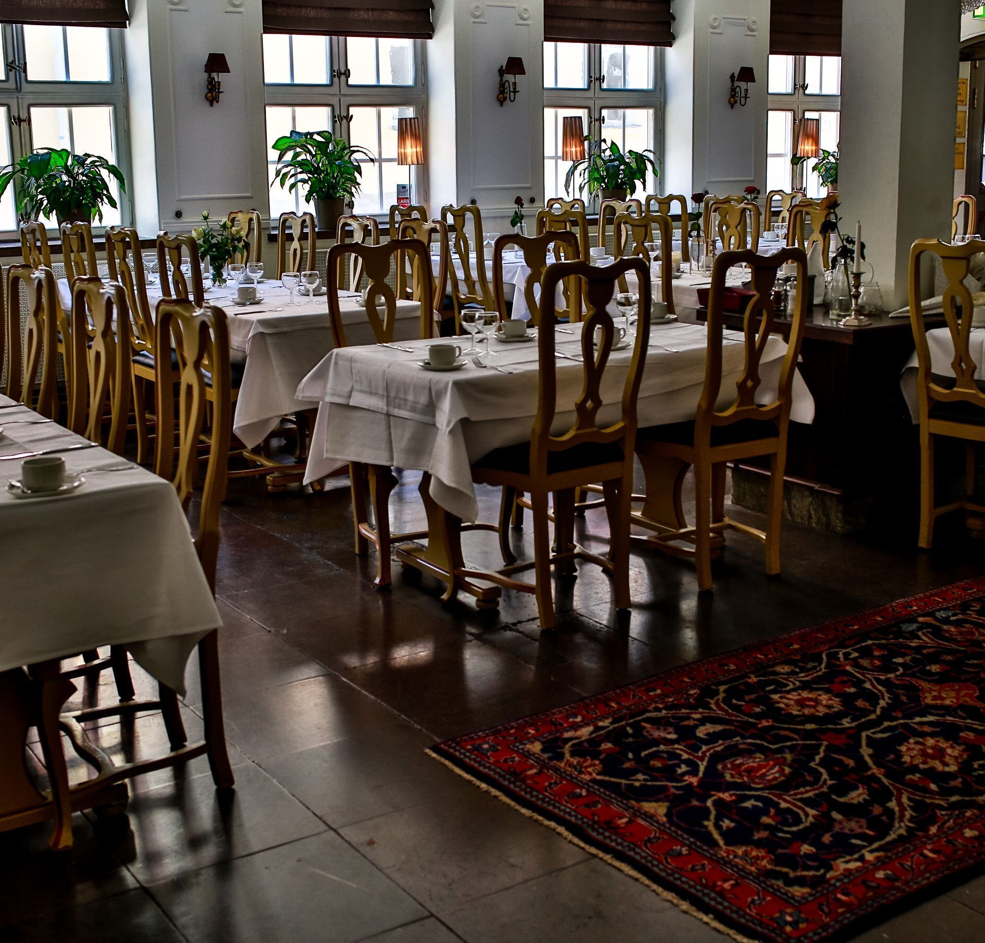 Un comedor elegante con varias mesas y sillas, ventanas amplias y plantas en macetas.