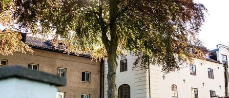 Un árbol frente a un edificio con un muro de piedra y una pequeña construcción blanca con una puerta marrón.